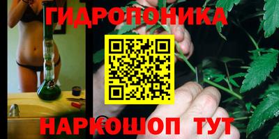 ПСИЛОЦИБИНОВЫЕ ГРИБЫ Дубна