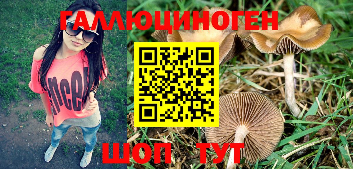 Галлюциногенные грибы Psilocybine cubensis Менделеевск